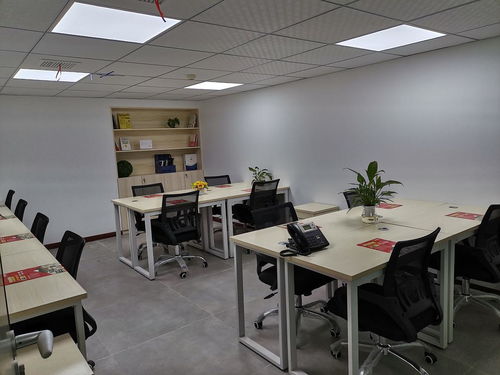 福田1600办公十注册 一站式创业服务，轻松申请补贴与记账报税